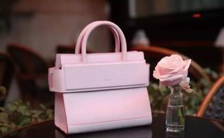 網紅效應 奢侈品營銷的雙刃劍